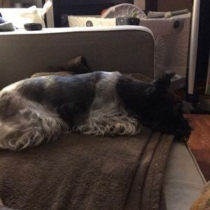 Meet your Posher, Marc